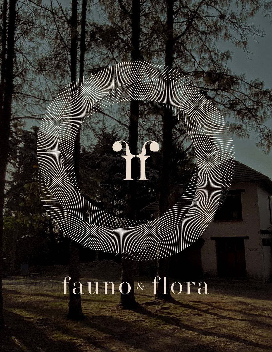 ART AND WELLNESS MEDELLÍN by NBOTERO