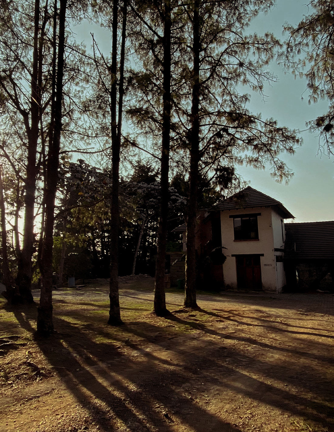 ART AND WELLNESS MEDELLÍN by NBOTERO