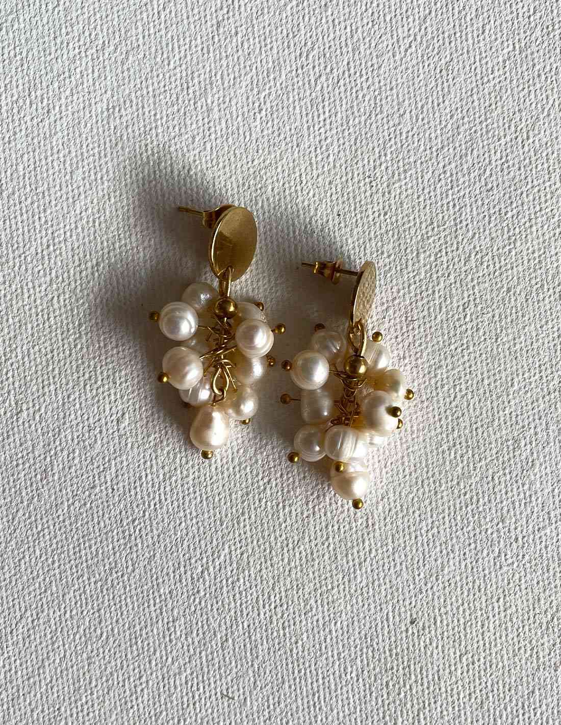 Areta Tropical Perla